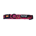 90s Baby Classic Collar by Pawmigo