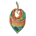 Chasing Rainbows Cooling Bandana by Pawmigo