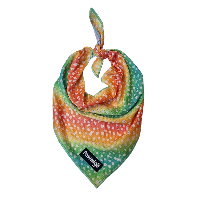 Chasing Rainbows Cooling Bandana by Pawmigo