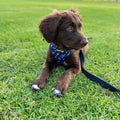 Extra-Furrestrial Reversible Harness by Pawmigo