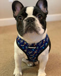 Extra-Furrestrial Reversible Harness by Pawmigo