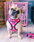 Fairytail Reversible Harness by Pawmigo