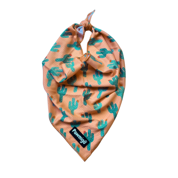 Succa For You Cooling Bandana by Pawmigo
