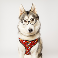Pawgwarts Everyday Adjustable No-Pull Dog Harness by Pawmigo
