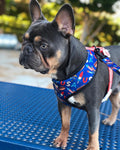 Red, White & Bark Leash Kit by Pawmigo