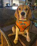 Succa For You Reversible Harness by Pawmigo