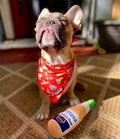 Taco Tuesday Cooling Bandana by Pawmigo
