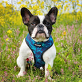 Tie-Dye For Reversible Harness by Pawmigo