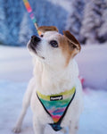 Tie-Dye For Leash Kit by Pawmigo