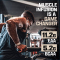 Nutrex Mass Infusion, 12lbs - 19 Servings by PoorBoySupplements.com
