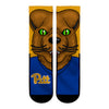 Pittsburgh Panthers - Roc the Panther Mascot