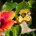 Playa del Sol Drop Earrings - Pearl by Christina Greene