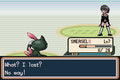 Pokemon Girls Hunter 1 GBA Pokemon ROM Hack Video Game Boy Advance