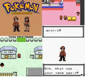 Pokemon Bronze GBC ROM Hack Video Game Custom Gameboy Color by VintageVideoGameStore