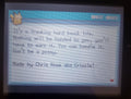 Pokemon Outlaw GBA ROM Hack Video Game Custom Gameboy Advance by VintageVideoGameStore
