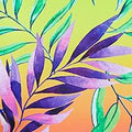Salt + Cove Printed Underwire Bikini Swim Top by Vanessa Jane