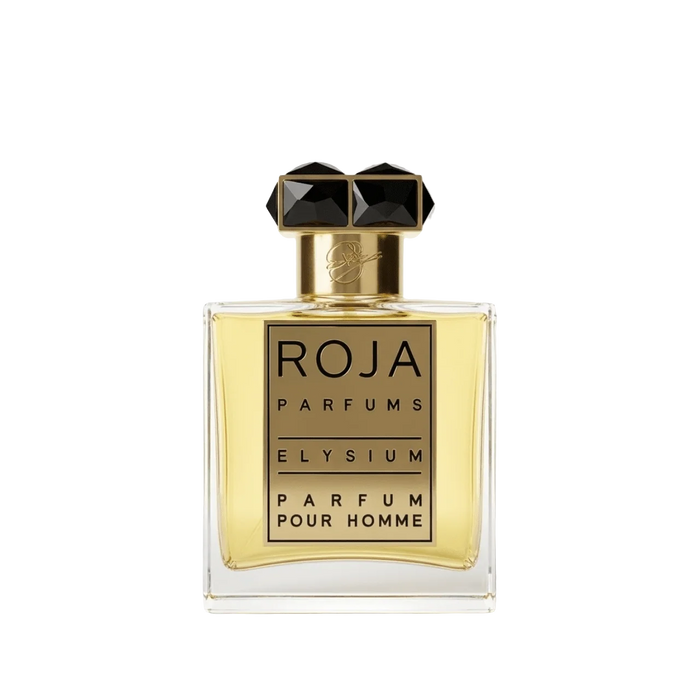 Roja Elysium Parfum Pour Homme by Mystic Store