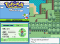 Pokemon Ruby Destiny Life of Guardians GBA ROM Hack Game Boy Advance by VintageVideoGameStore