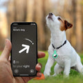 6-Pack: Protective Leather Airtag Holder Tracker Cover with Loop Key Ring by DailySale