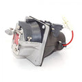 Projector Lamp for InFocus IN7 IN74; InFocus IN7 IN72; InFocus IN7 IN78; InFocus IN7 IN76; InFocus I by Texas Depot