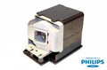 Projector Lamp for InFocus IN2 IN2194; InFocus IN2 IN2192; InFocus IN2 IN2116; InFocus IN2 IN2114; I by Texas Depot