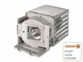 Projector Lamp for InFocus IN1 IN116; InFocus IN1 IN114; InFocus IN1 IN112 by Texas Depot