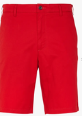 Paisley and Gray Mens Slim Fit Shorts by Vanessa Jane