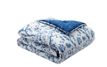 Laura Ashley Elise Cotton Reversible 2 Piece Duvet Cover Set, Twin - Blue by Vanessa Jane
