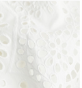HandM Dress with Eyelet-Embroidered Sleeves, Medium by Vanessa Jane