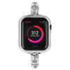 Steel Apple Watch Band Series 11/10/9/8/7/6/5/4/ SE / Ultra 1/2/3