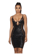 Sequin Lace Mesh Mini Dress by The House of Stylez