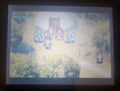 Shining Soul GBA Video Game Cartridge Nintendo Game Boy Advance 2002 by VintageVideoGameStore