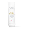 Goldwell Dualsenses Rich Repair Restoring Shampoo 10.1 oz