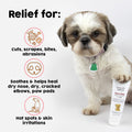 Healing Cream for Dogs with Dry, Irritated & Itchy Skin | Fast-Absorbing Pet Skin Relief | 2 oz by TriDerma MD