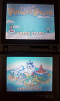 Super Princess Peach NDS Video Game Cartridge Nintendo DS 2005 by VintageVideoGameStore