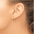 10K Gold Hinged Hoop Earrings by Fine Color Jewels