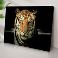 Lurking Tiger In The Dark Canvas Wall Art by Tailored Canvases