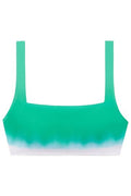 Ralph Lauren Womens Ombré Bikini Top, Size 6 by Vanessa Jane