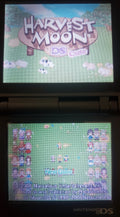 Harvest Moon DS Cute NDS Video Game Cartridge Nintendo DS 2008 by VintageVideoGameStore