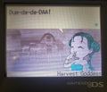 Harvest Moon DS Cute NDS Video Game Cartridge Nintendo DS 2008 by VintageVideoGameStore