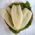 Ugandan Exfoliator Natural Loofah (Ekyangwe) by Duma Mbili LLC