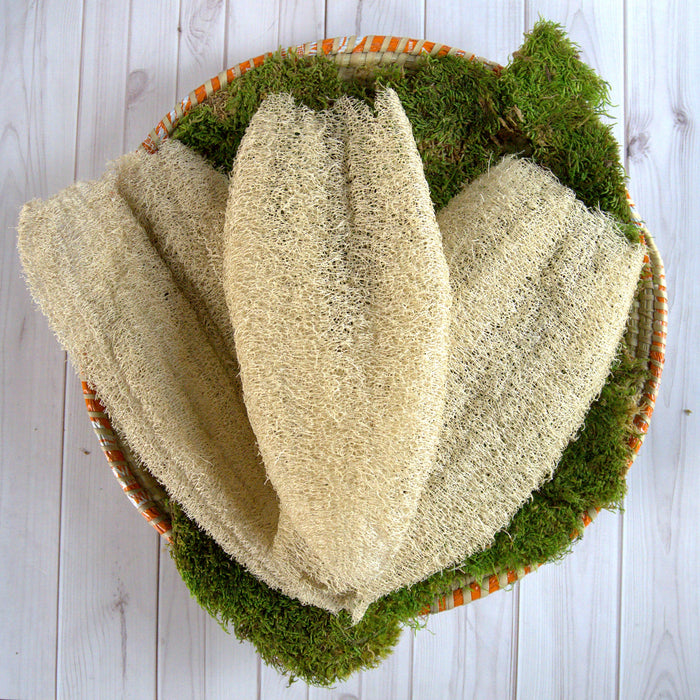 Ugandan Exfoliator Natural Loofah (Ekyangwe) by Duma Mbili LLC