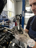 Spark Plug-Platinum Autolite AP985 by Vanessa Jane