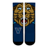 Villanova Wildcats - Will D. Cat Mascot