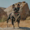 Wild Thing Reversible Harness by Pawmigo