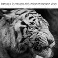 Black And White Smoking Tiger Canvas Wall Art by Tailored Canvases