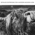 West Highland Cow Monochrome Canvas Wall Art by Tailored Canvases