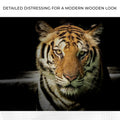Lurking Tiger In The Dark Canvas Wall Art by Tailored Canvases