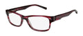 Ad.lib 3202 Eyeglasses by ModaFrames