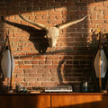 ADG42 Decorative Steer Skull and Horns Western Wall Decor by Active Doodie Gear­®